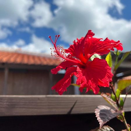 Villa Muse Okinawa- Vacation Stay 43823V Nago Esterno foto